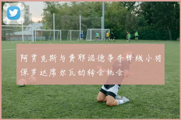 阿贾克斯与费耶诺德争夺锋线小将保罗达席尔瓦的转会机会